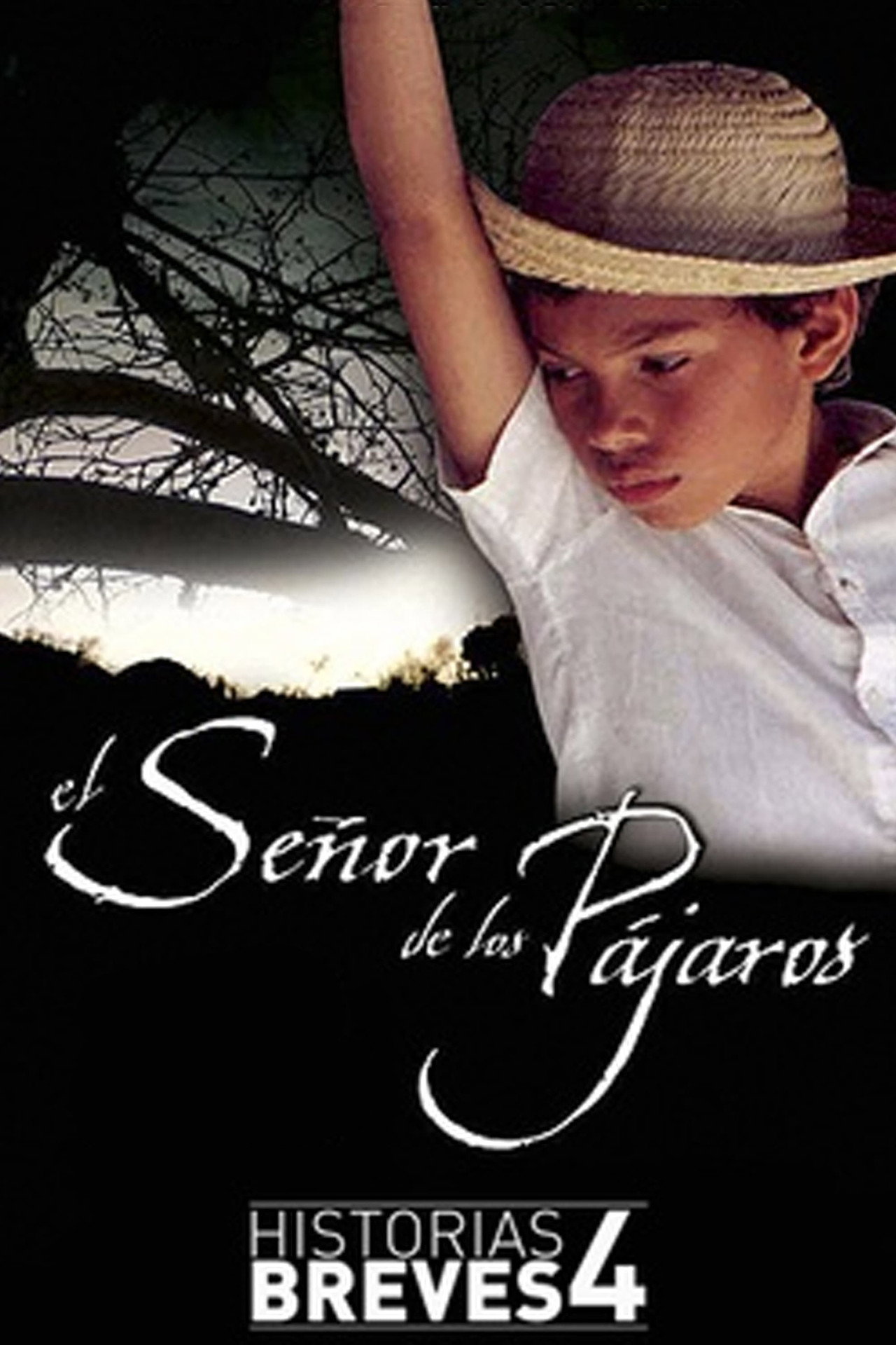 El señor de los pájaros filmaffisch