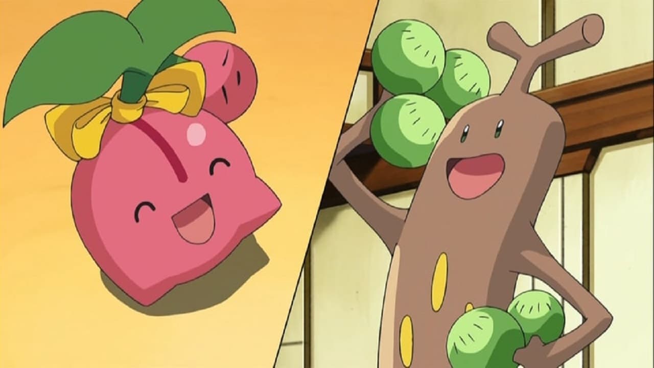 Pokémon - Season 12 Episode 21 : Battling a Cute Drama!