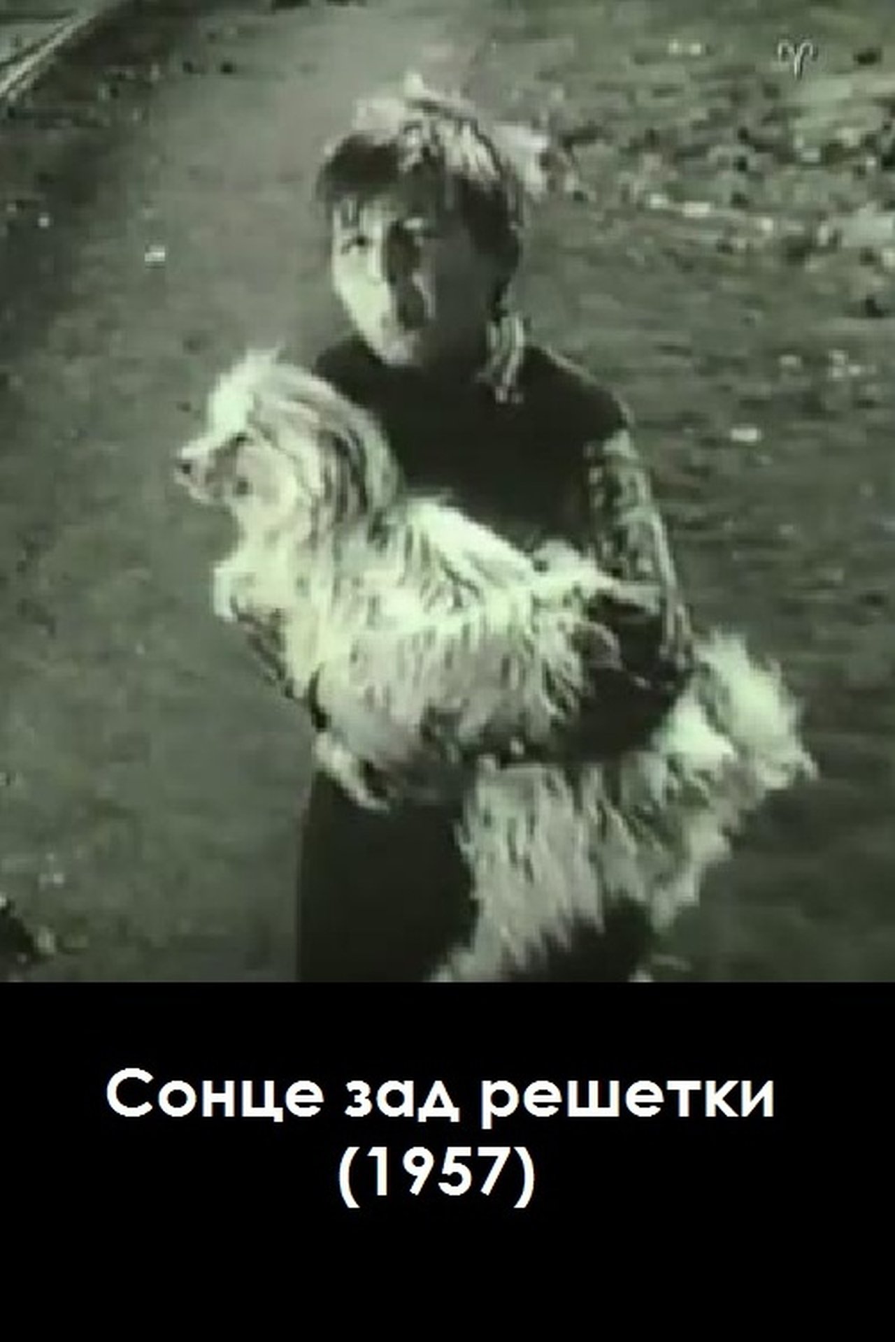 Сонце зад решетки Сонце зад решетки