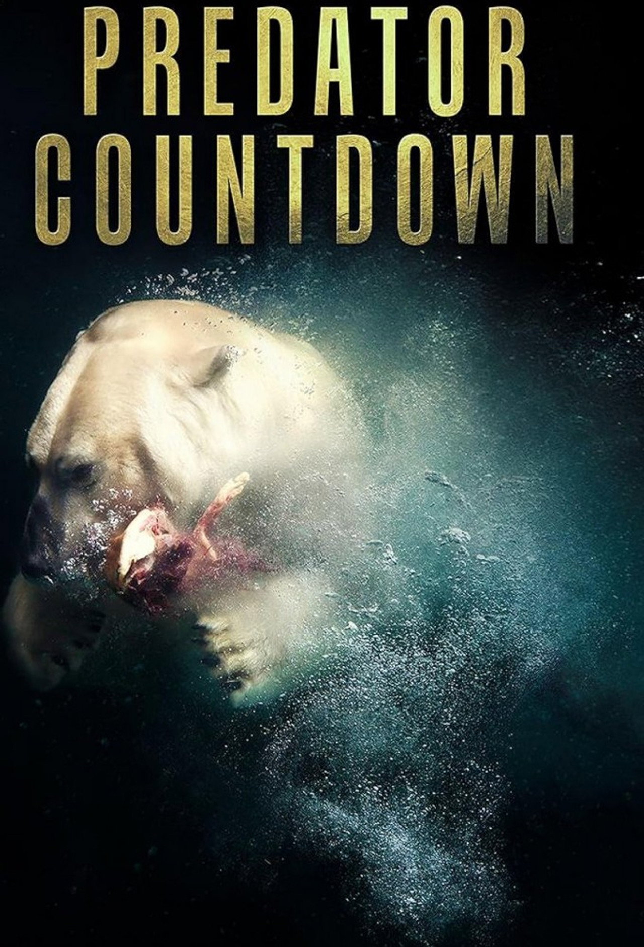 Predator Countdown affisch