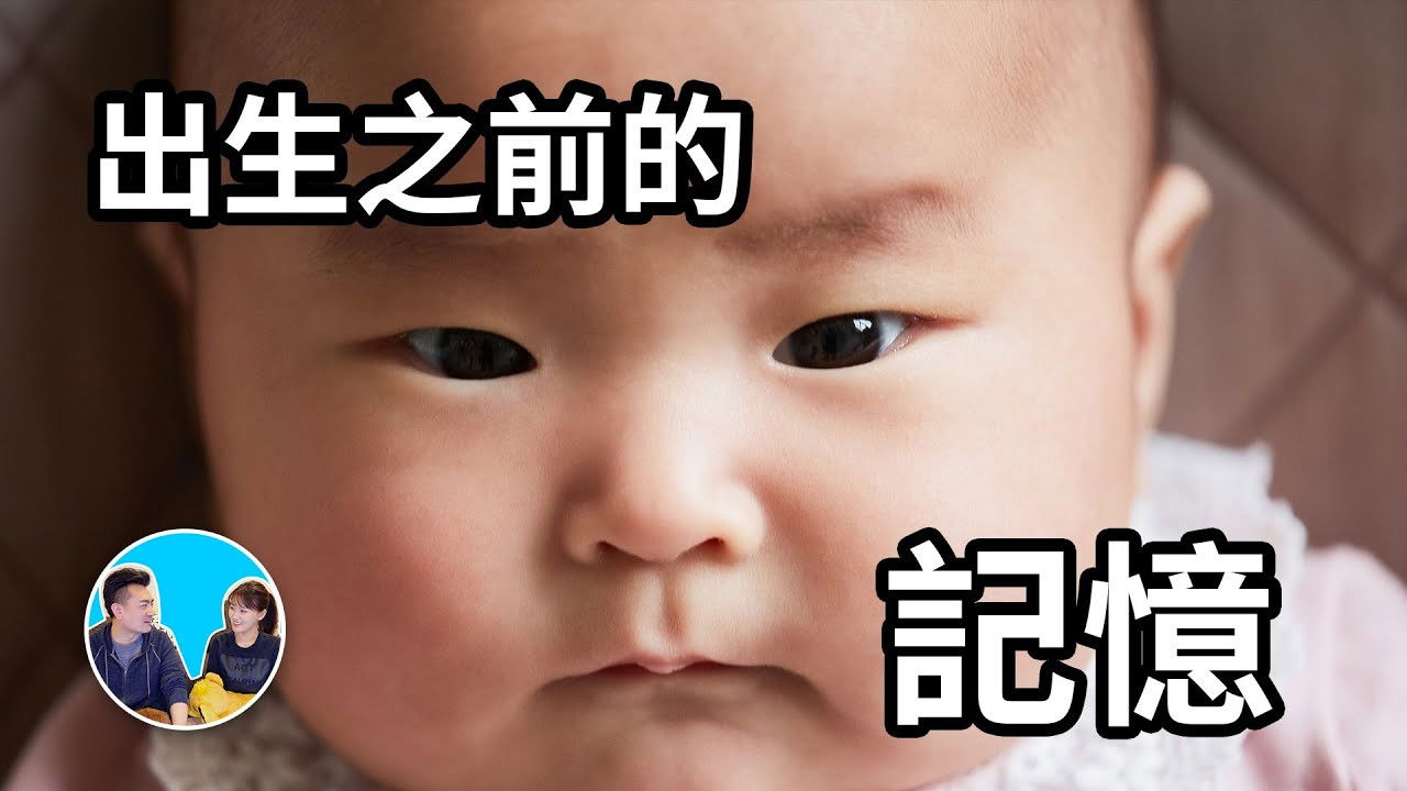 老高与小茉 — Épisode 246