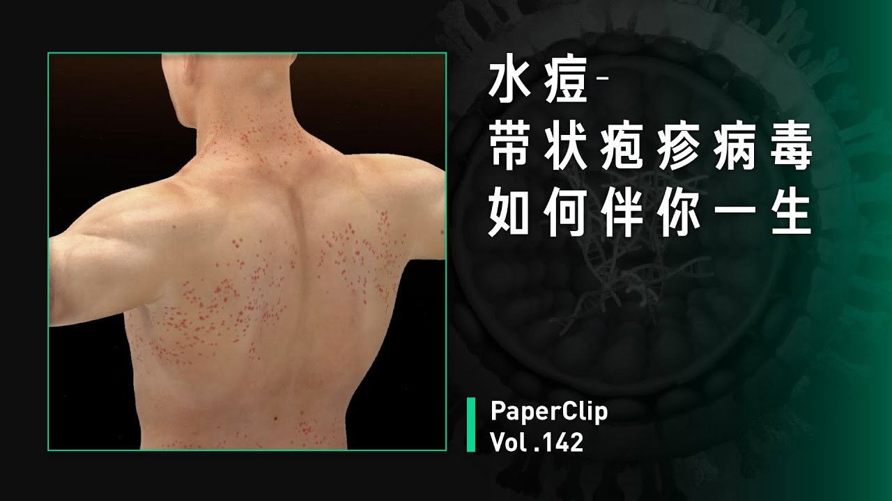 回形针PaperClip — Épisode 142