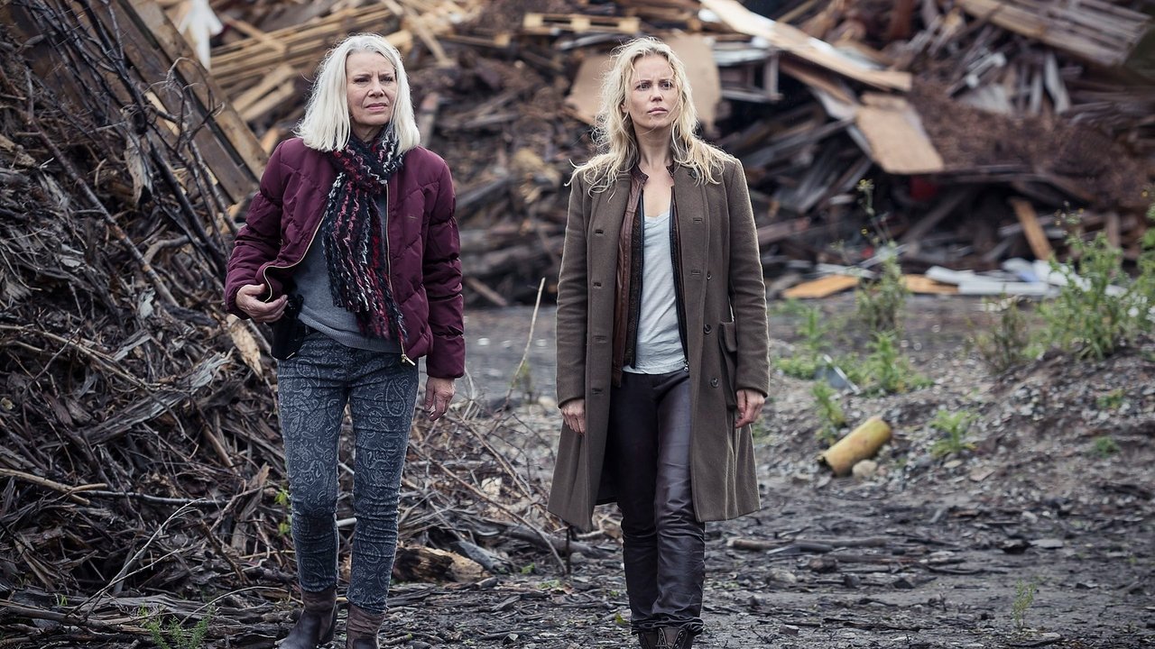 The Bridge - Season 3 Episode 1 : Episode 1