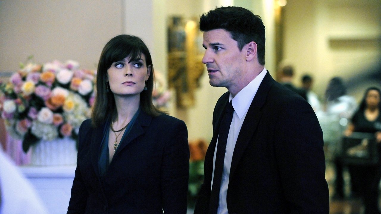 Bones - Season 6 Episode 14 : The Bikini in the Soup