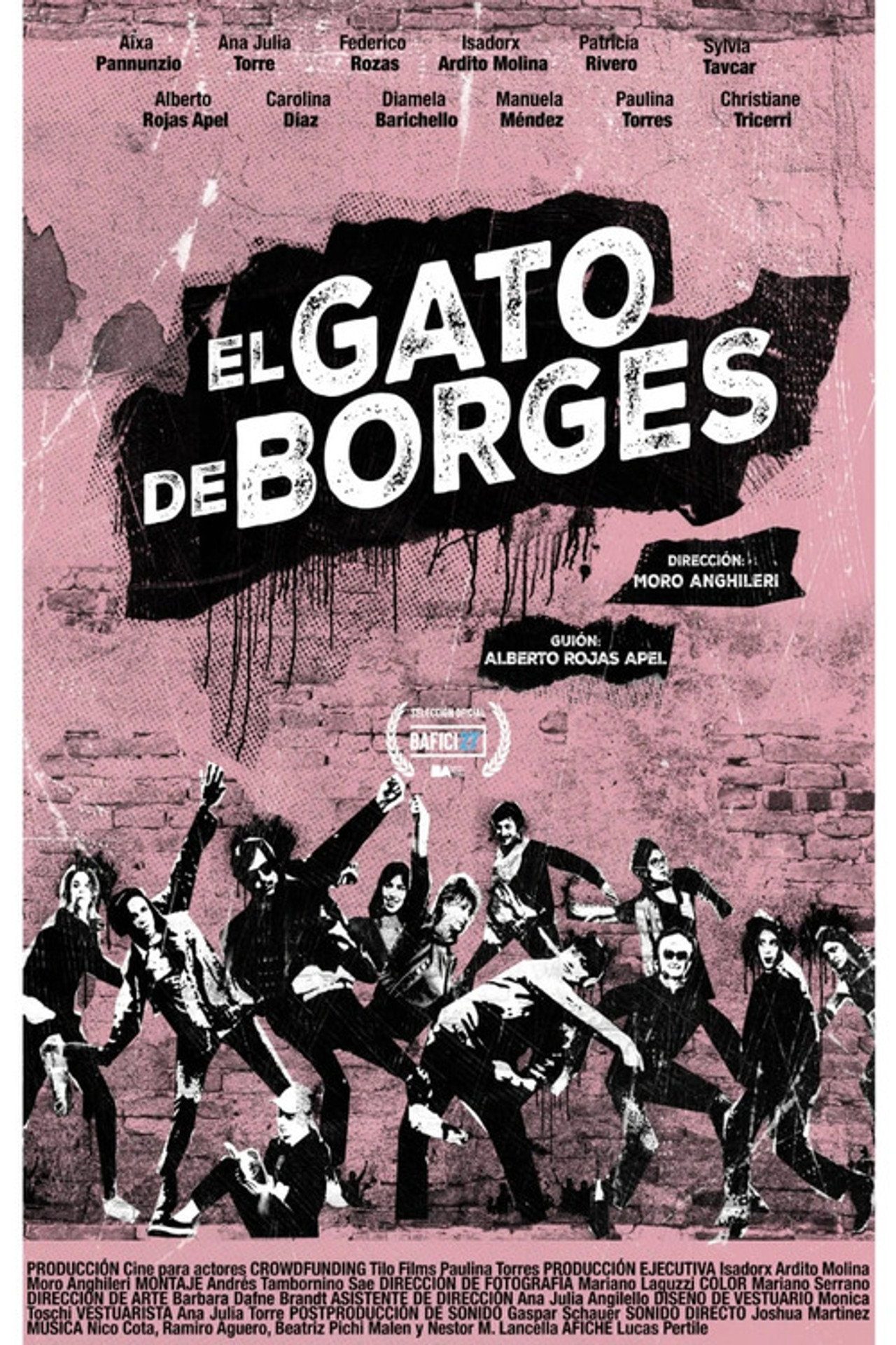 Borges’ Cat