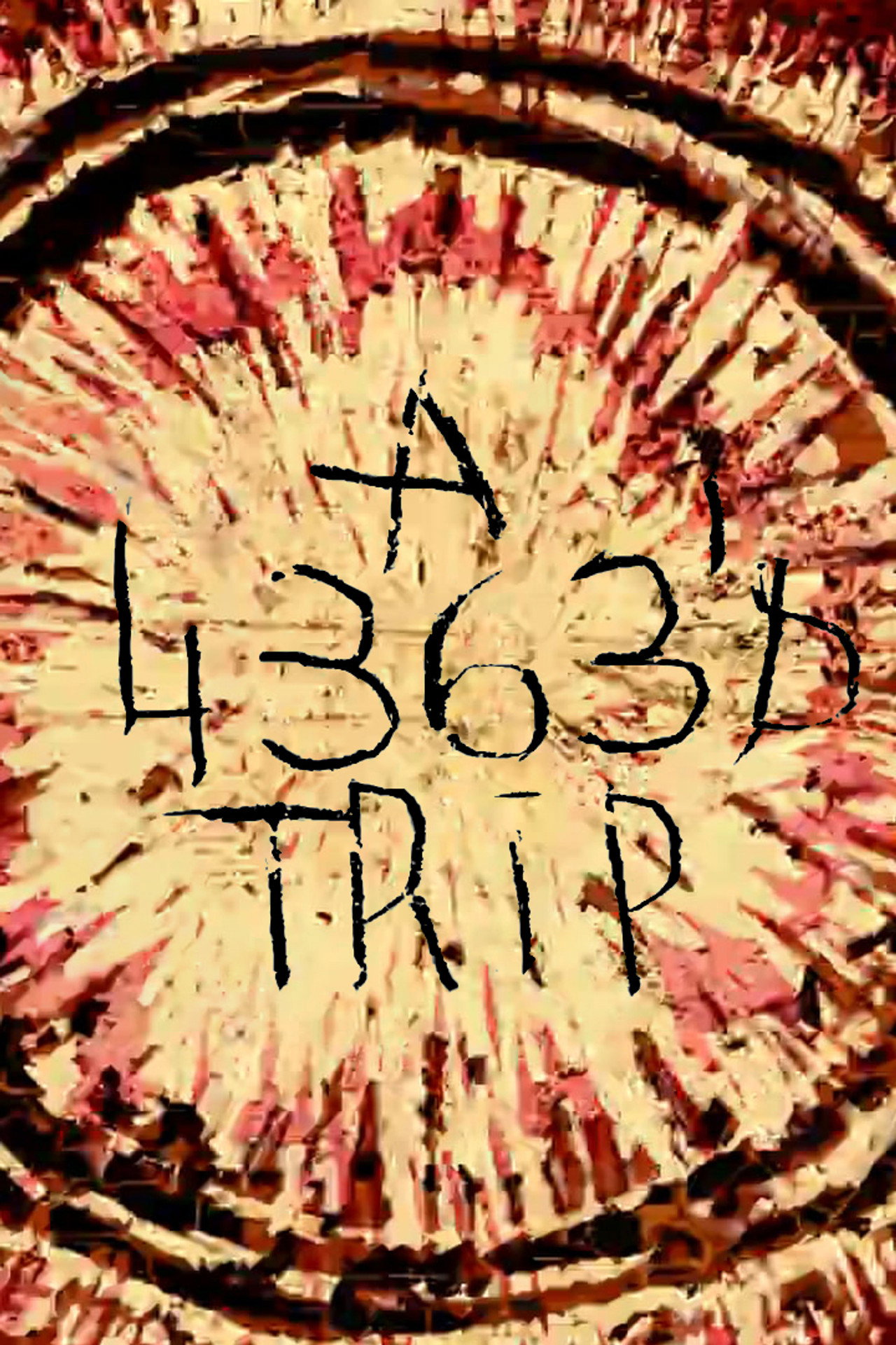 A 4363 Trip poster
