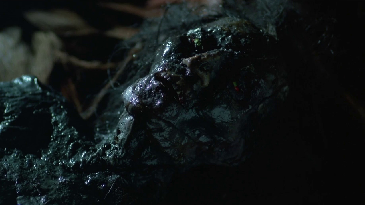 Seeding of a Ghost still 11