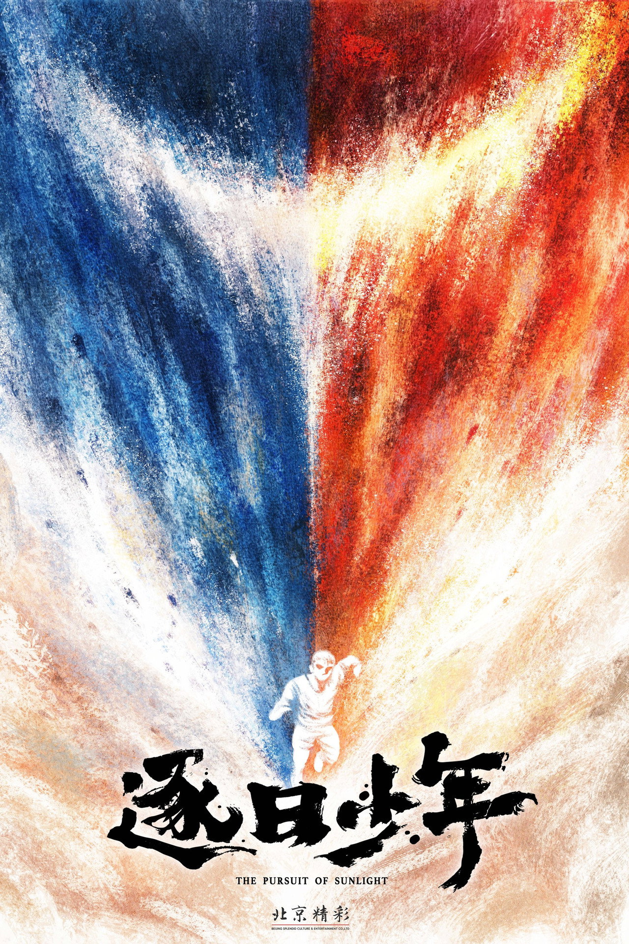 逐日少年 filmaffisch