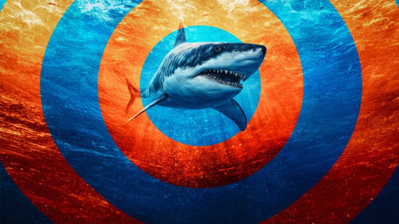 In the Eye of the Storm: Shark Storm backdrop