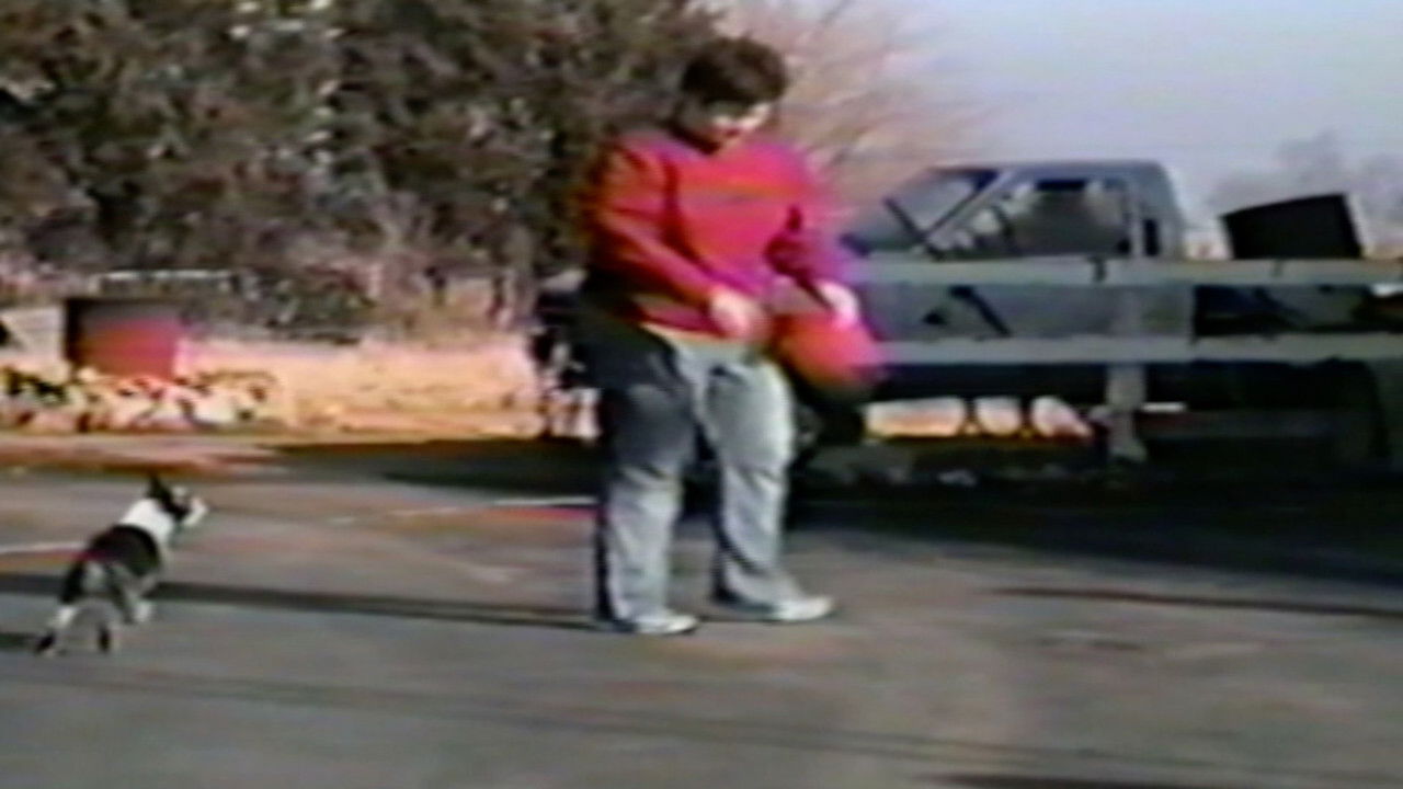 Funniest Pets & People — Épisode 15