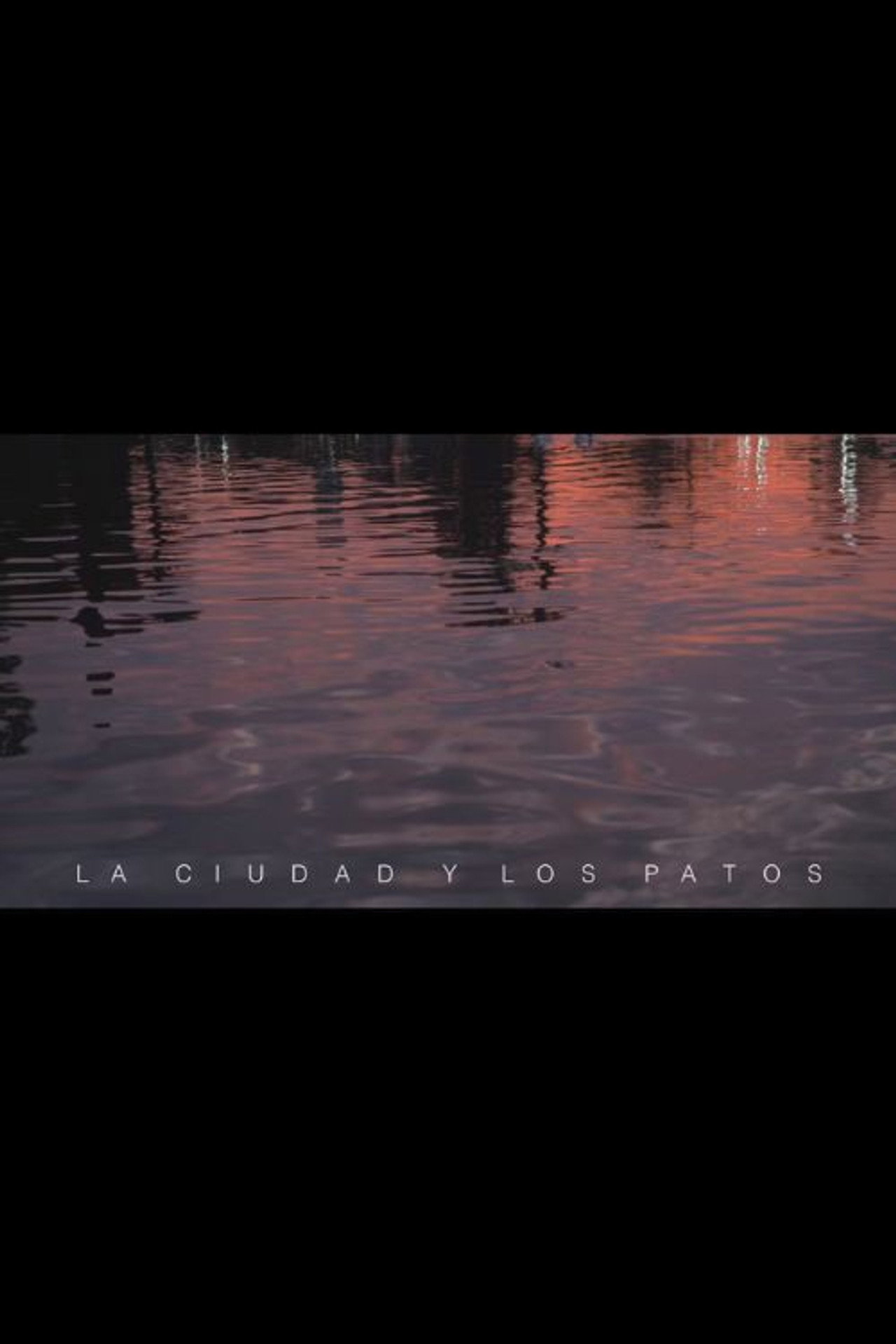 La ciudad y los patos