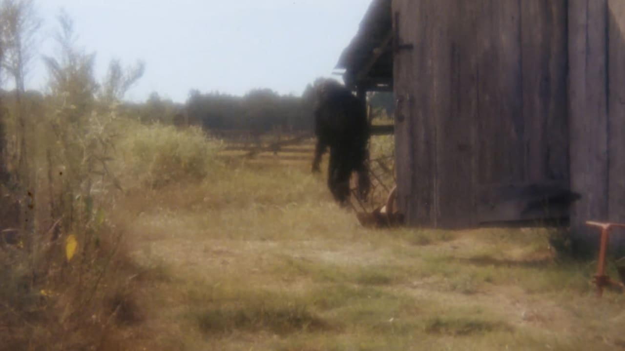 Boggy Creek II: And the Legend Continues background