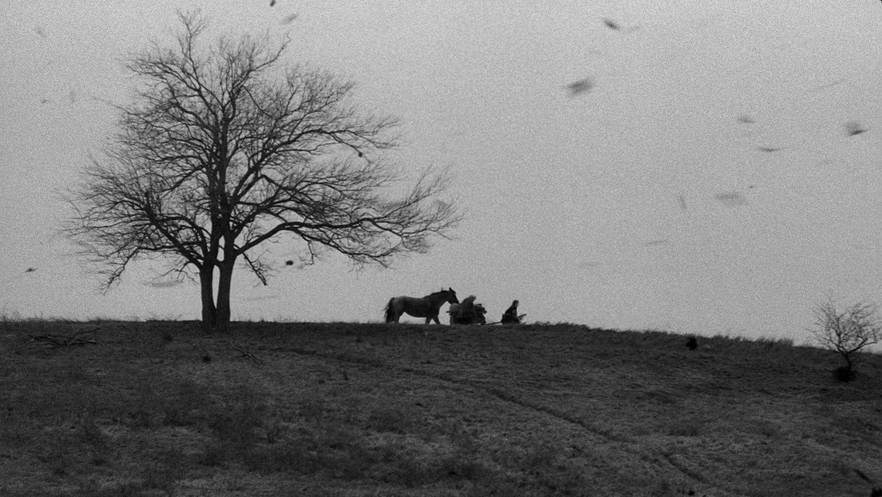 scenes 13