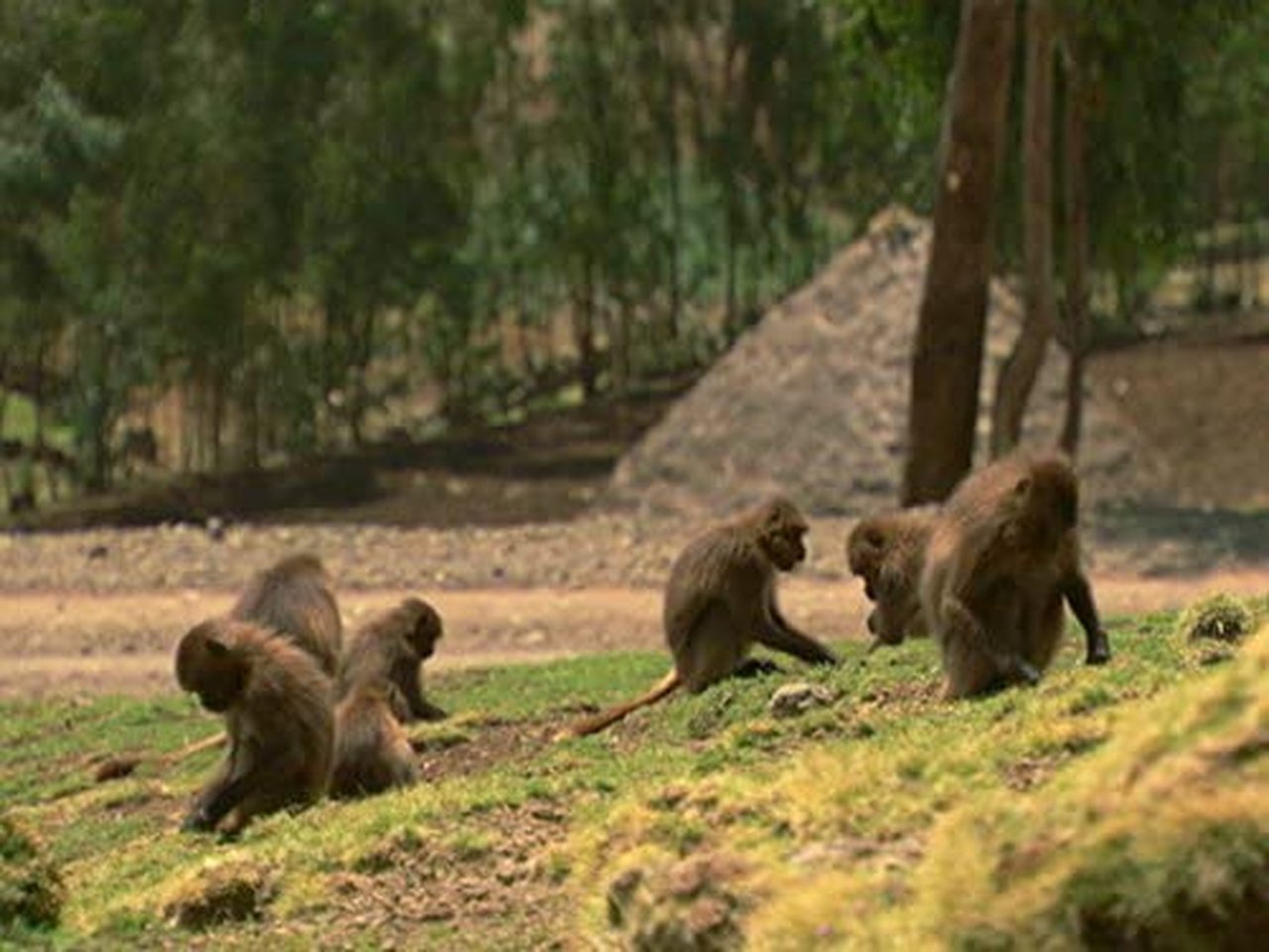 Ethiopia: Land of Extremes