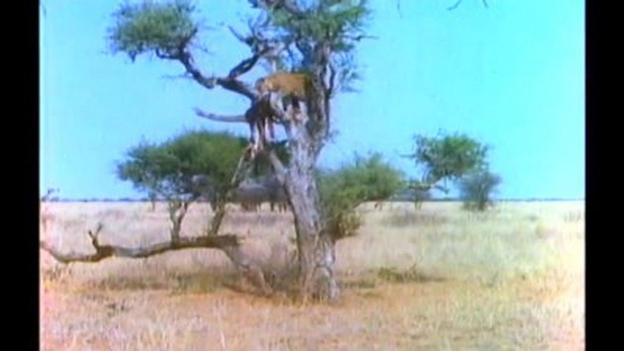 Mutual of Omaha's Wild Kingdom — Épisode 5