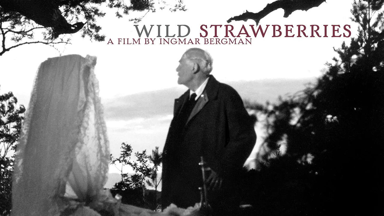 Wild Strawberries
