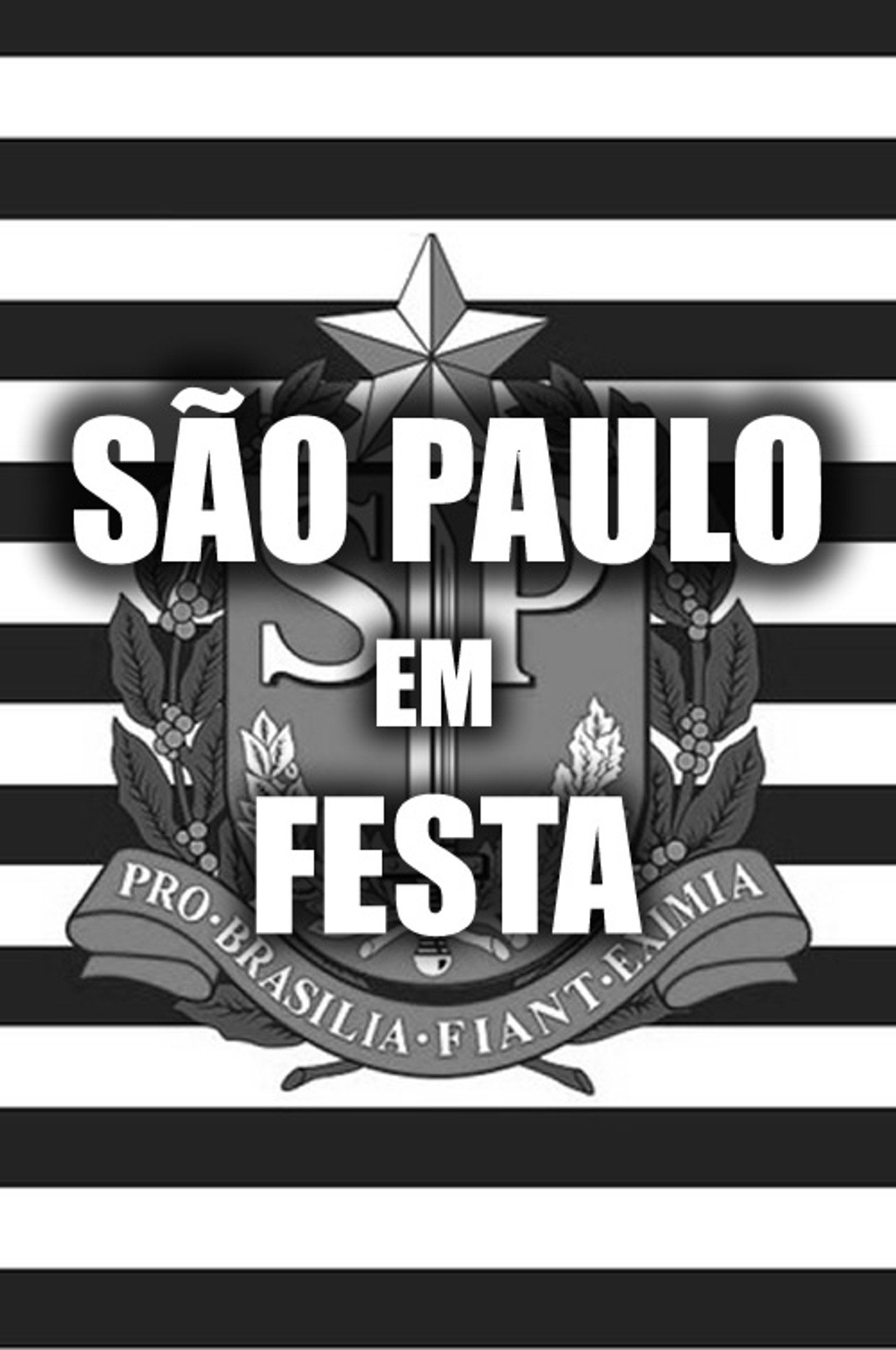 São Paulo em Festa filmaffisch