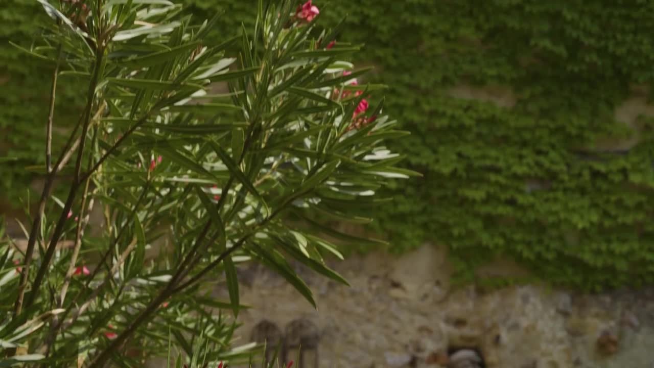 Natur im Garten - Season 25 Episode 7 : Episode 7