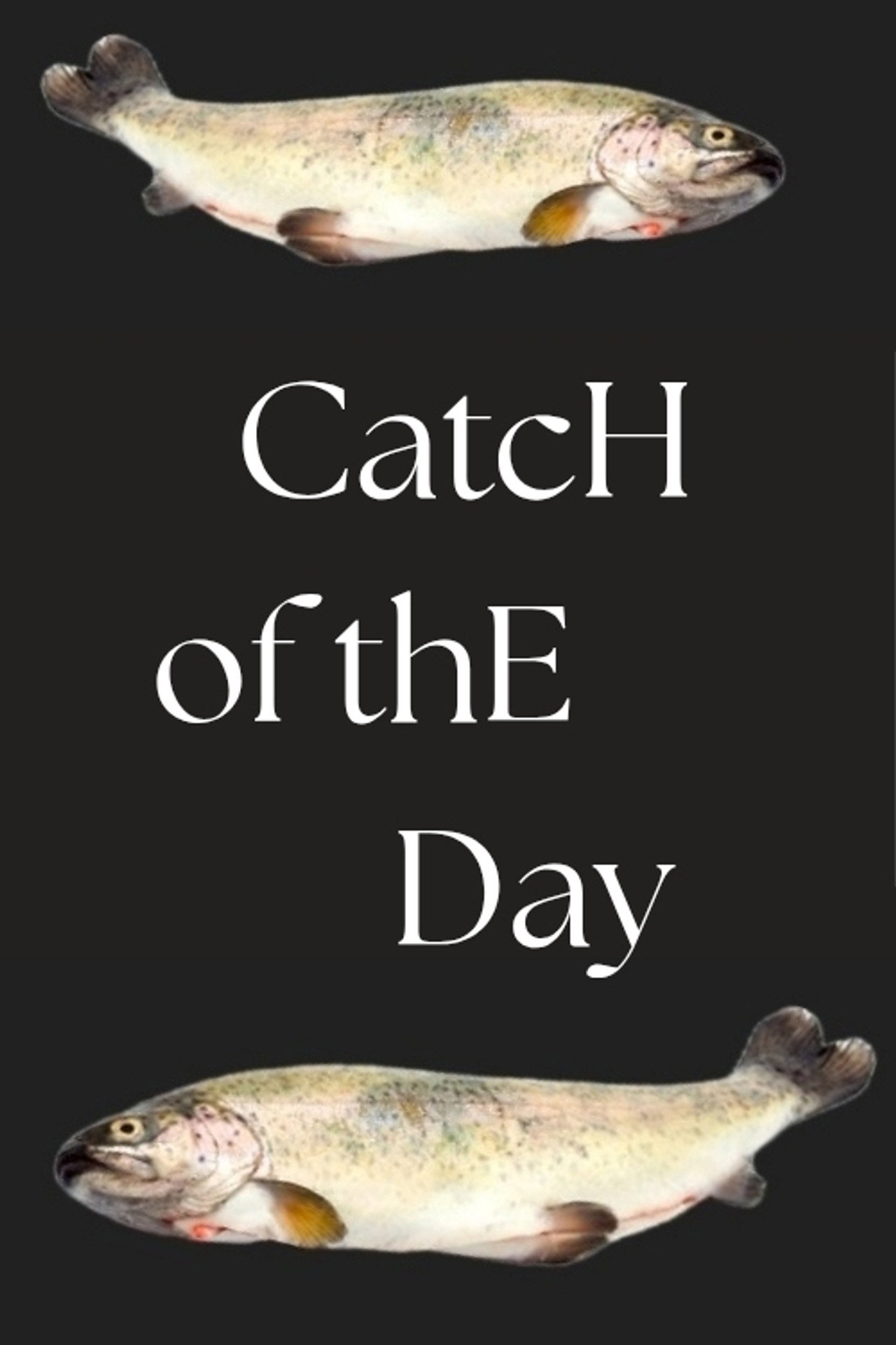 Catch of the Day