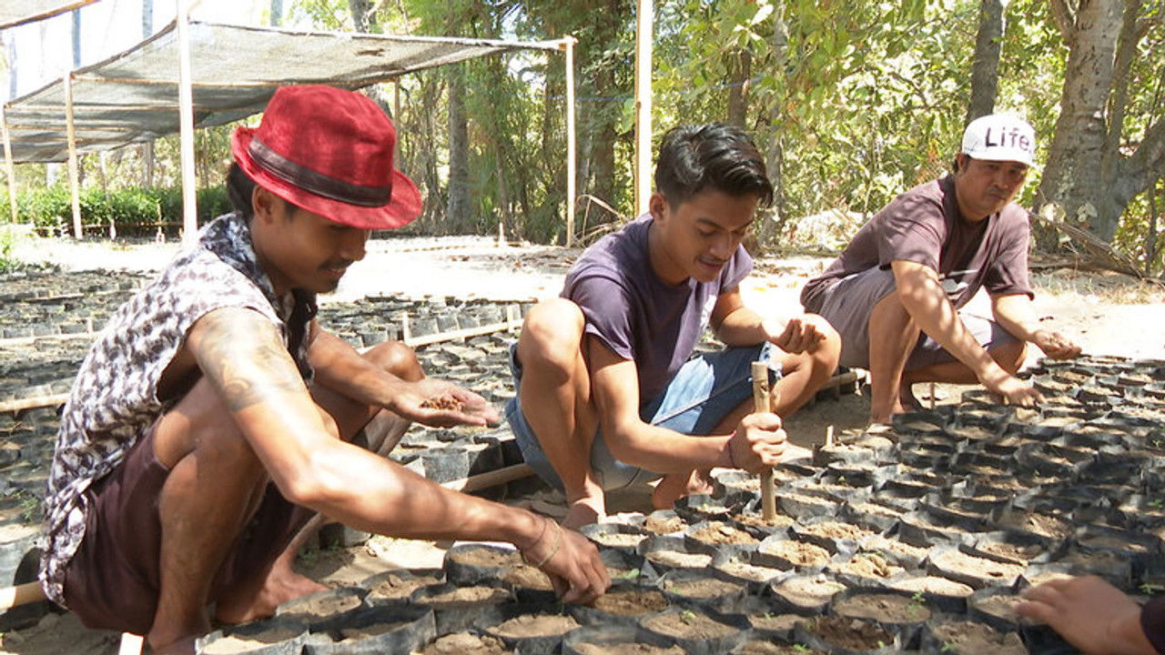 Asia Insight — Épisode 1