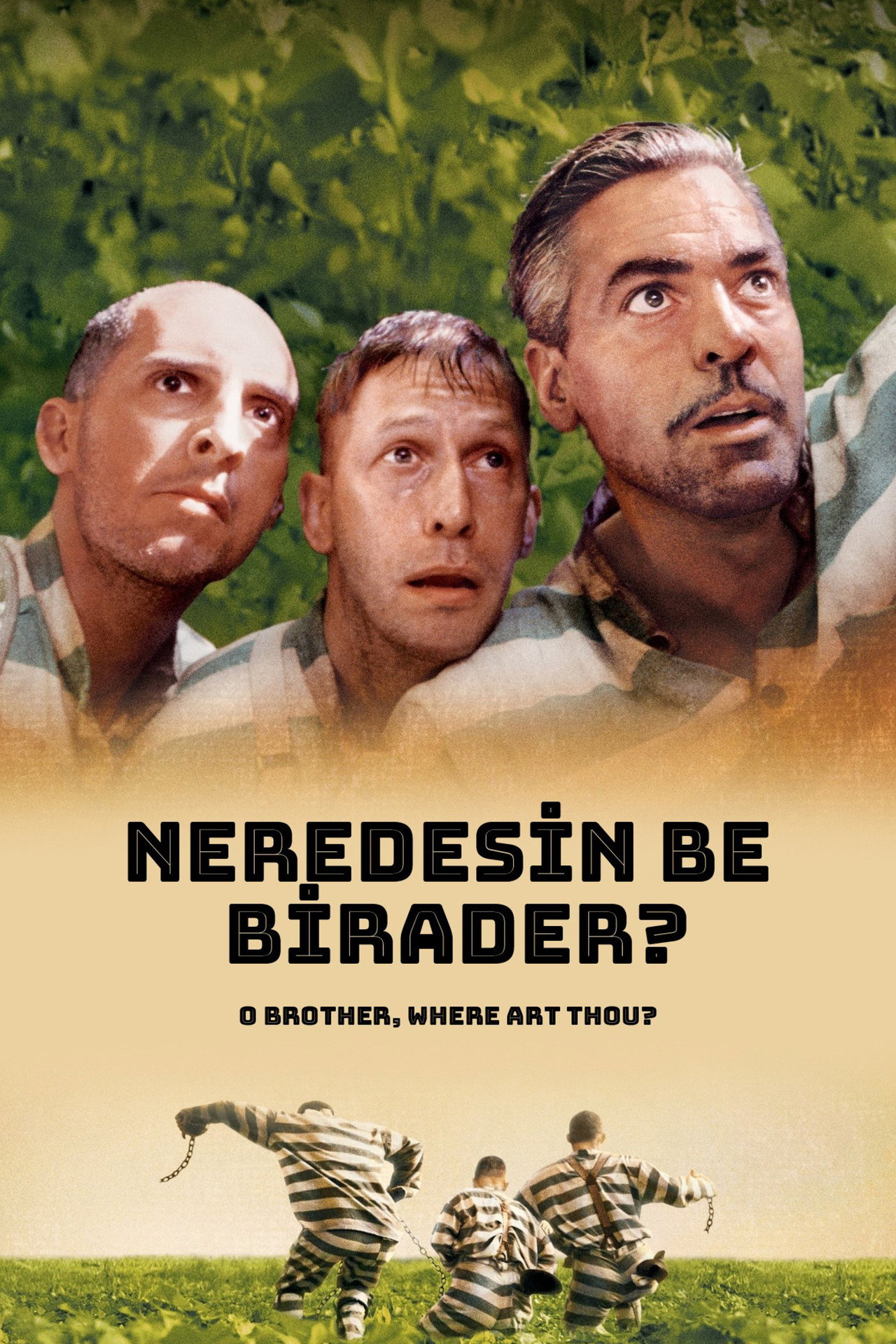 Neredesin Be Birader? Poster