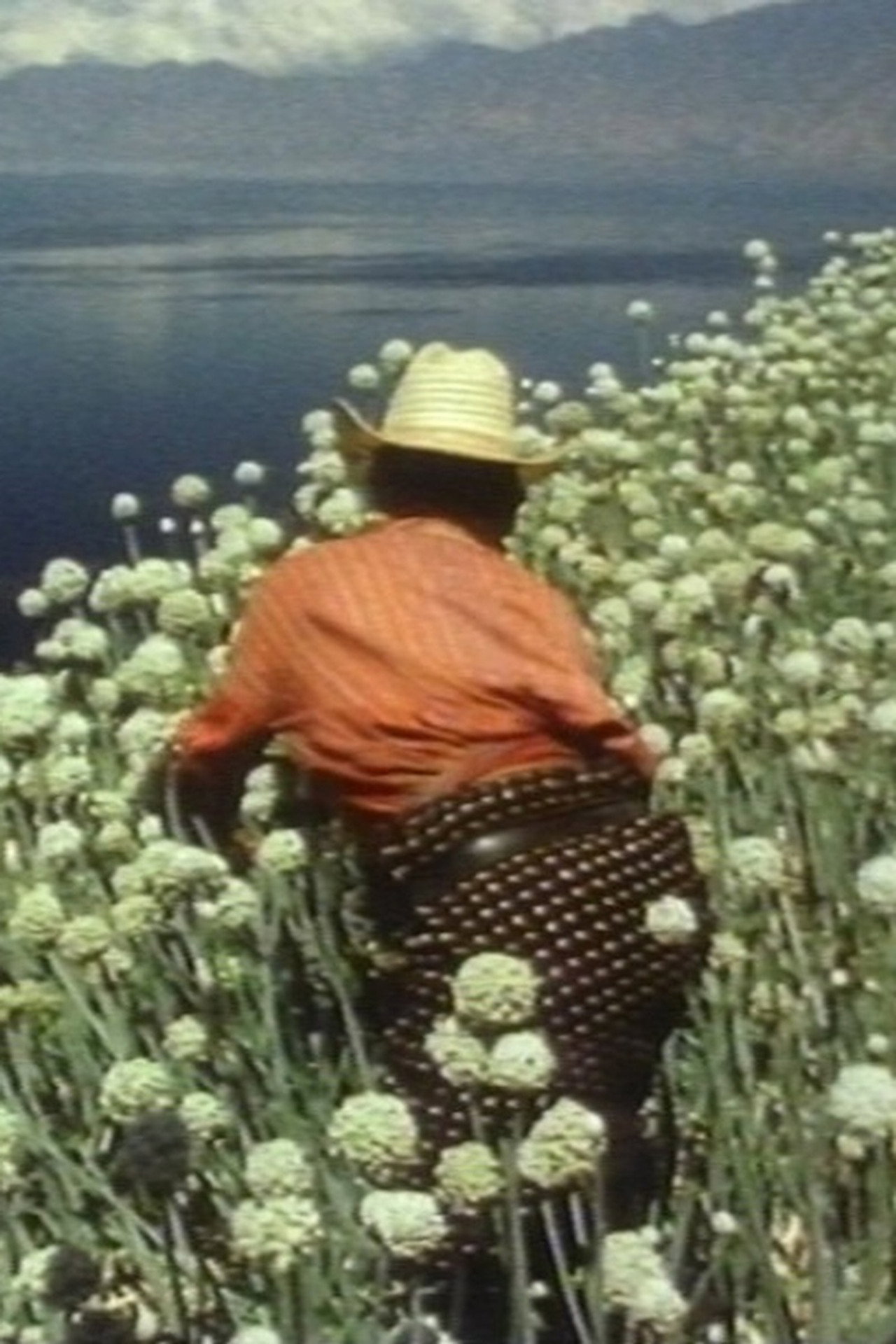 Cakchiquel Maya of San Antonio Palopó filmaffisch