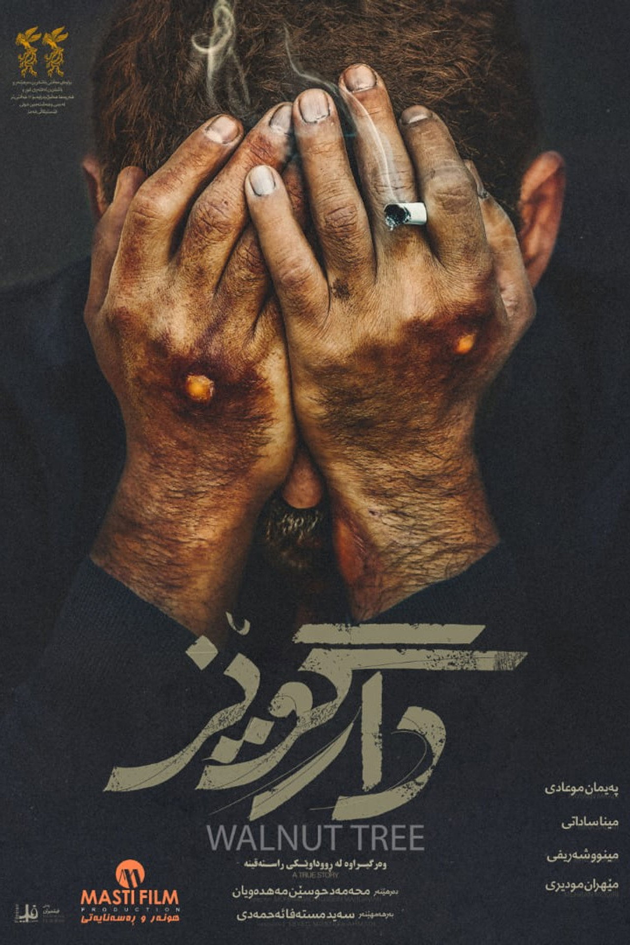 درخت گردو filmaffisch