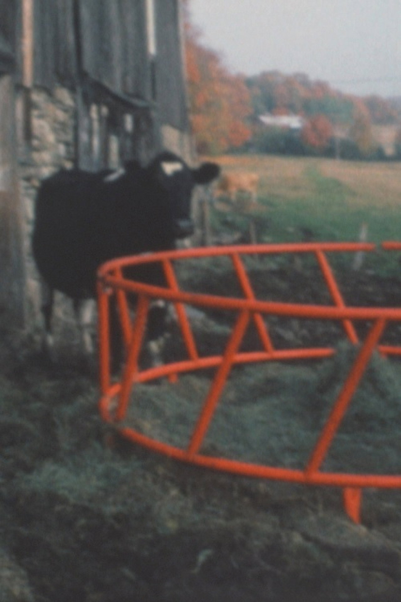 Super 8 Diary - 1991 filmaffisch