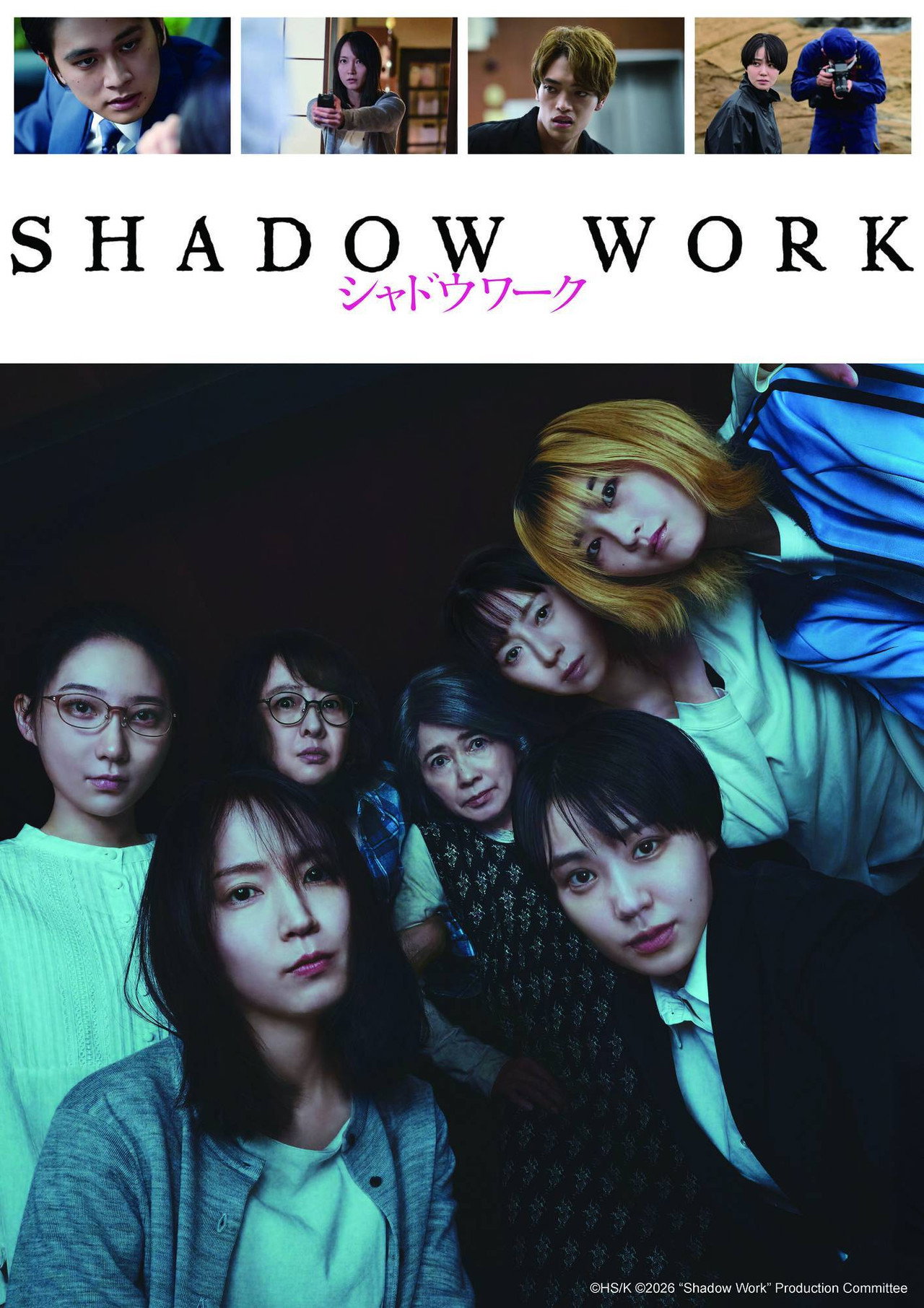 Shadow Work poster