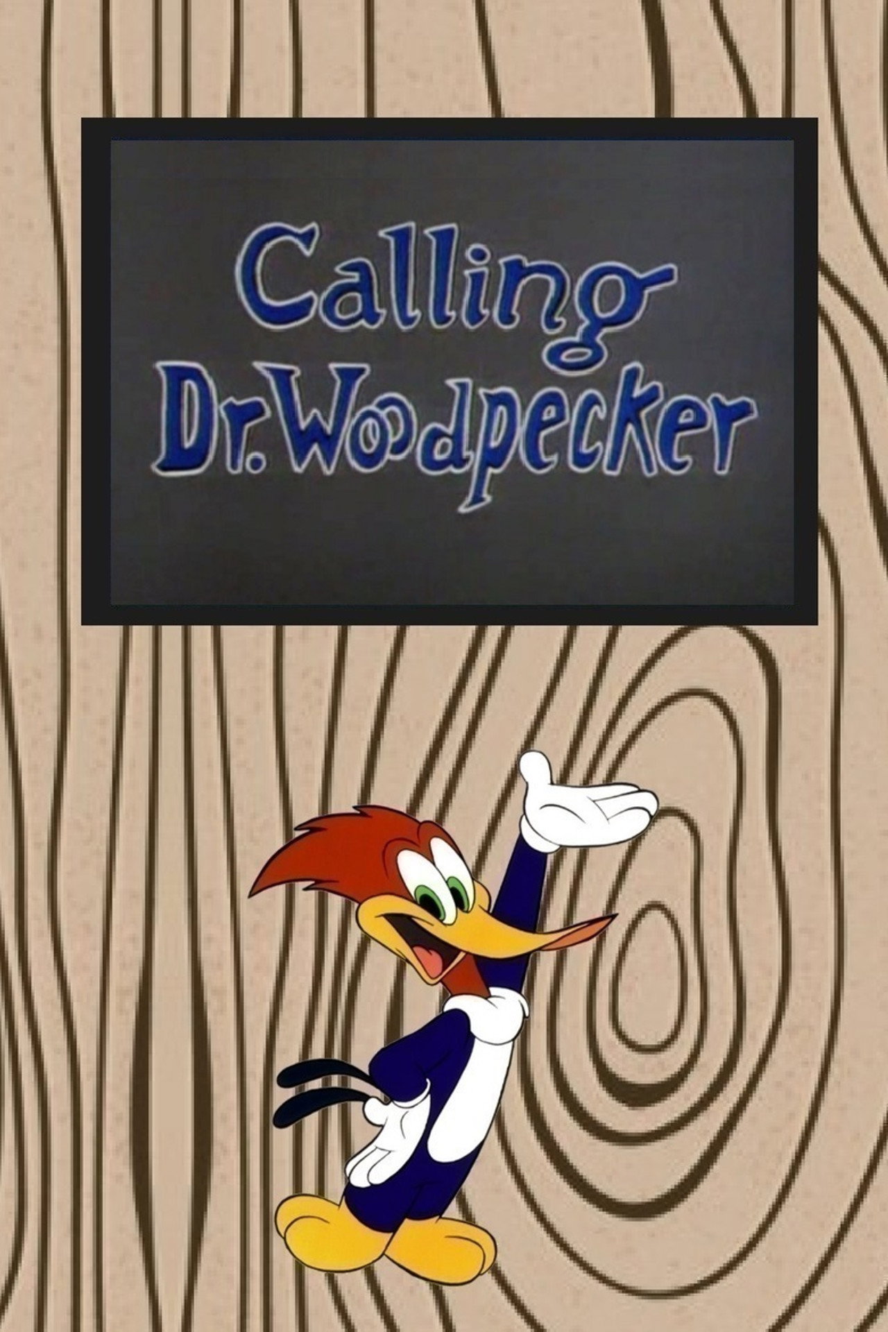 Calling Dr. Woodpecker filmaffisch