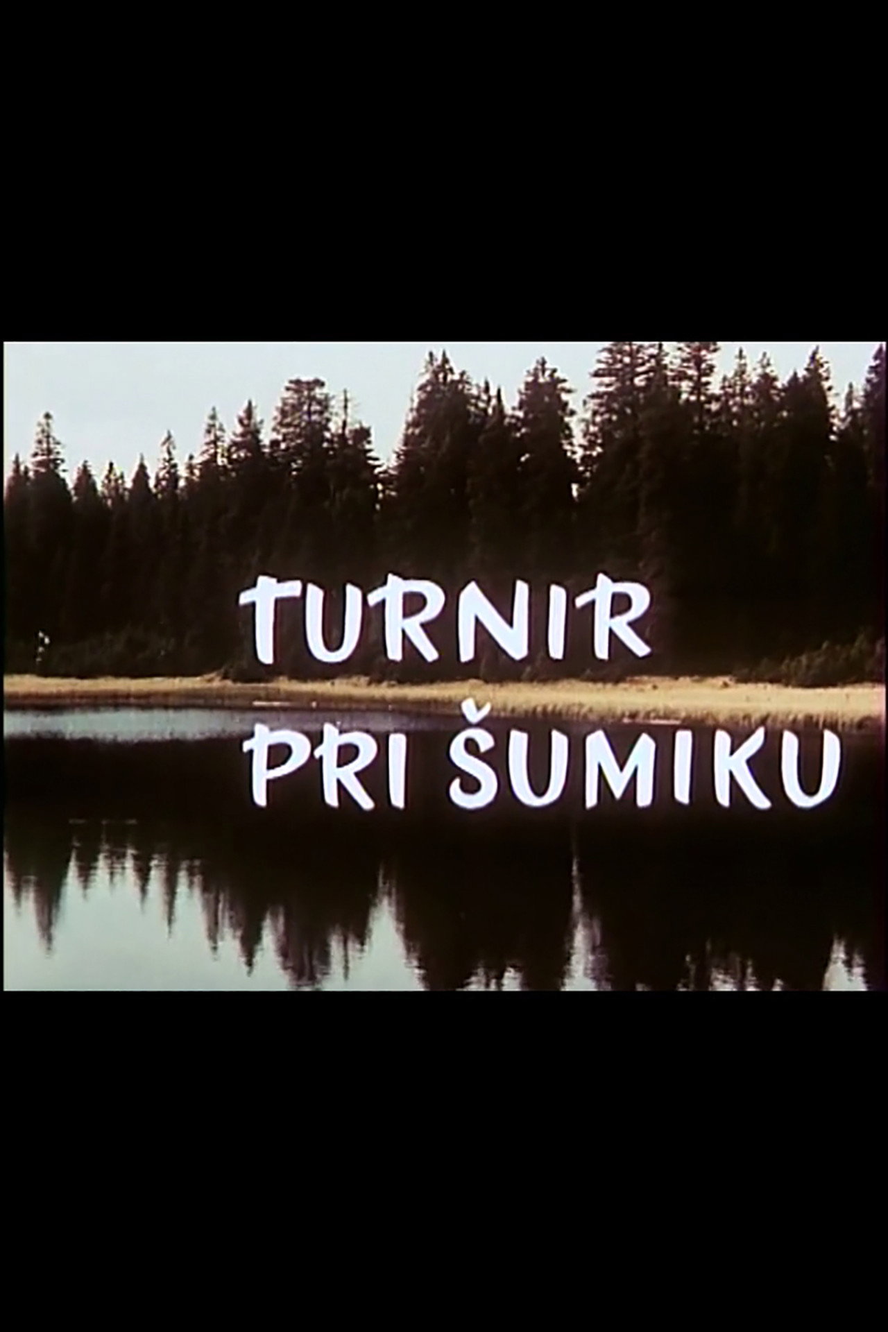 Turnir pri Šumiku filmaffisch