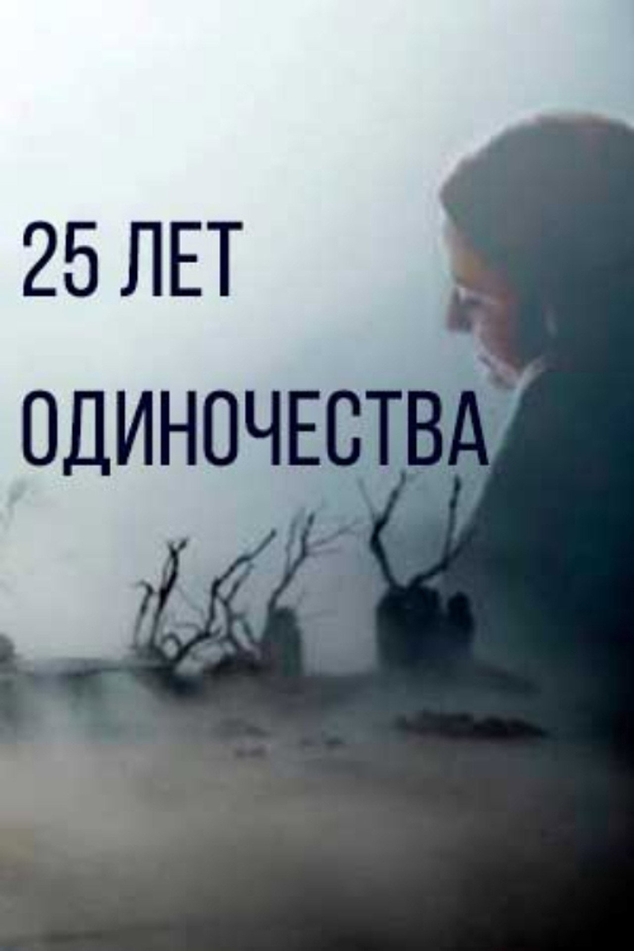 25 лет одиночества filmaffisch