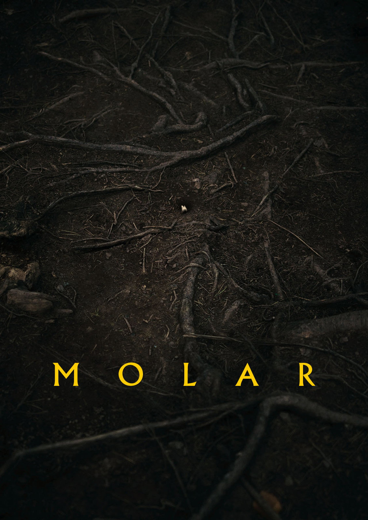 Molar filmaffisch