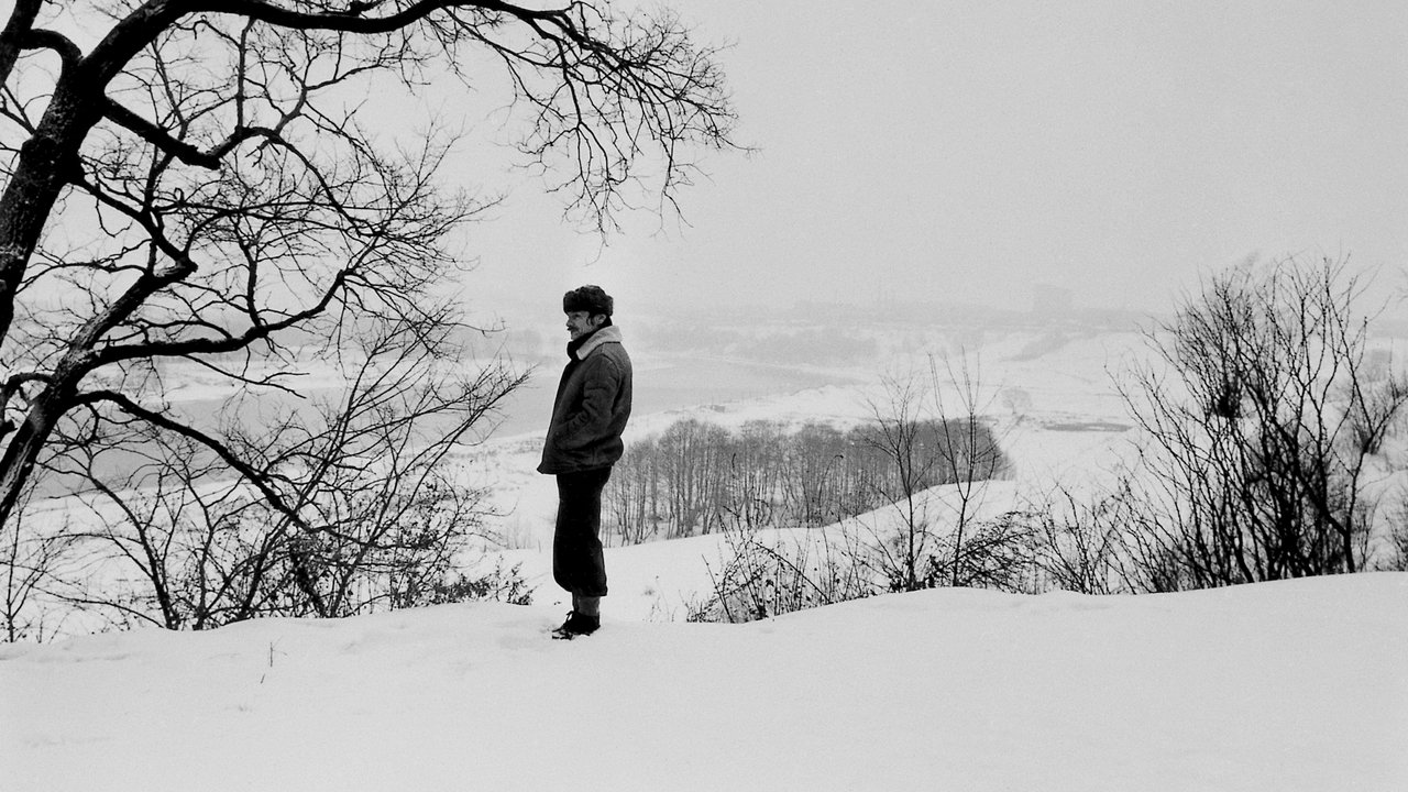 Scen från Andrej Tarkovskij - En filmares bön