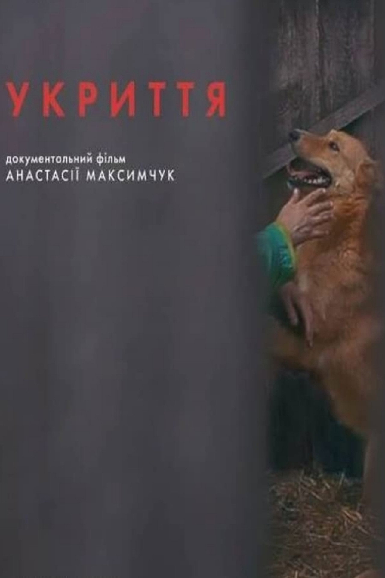 Укриття filmaffisch