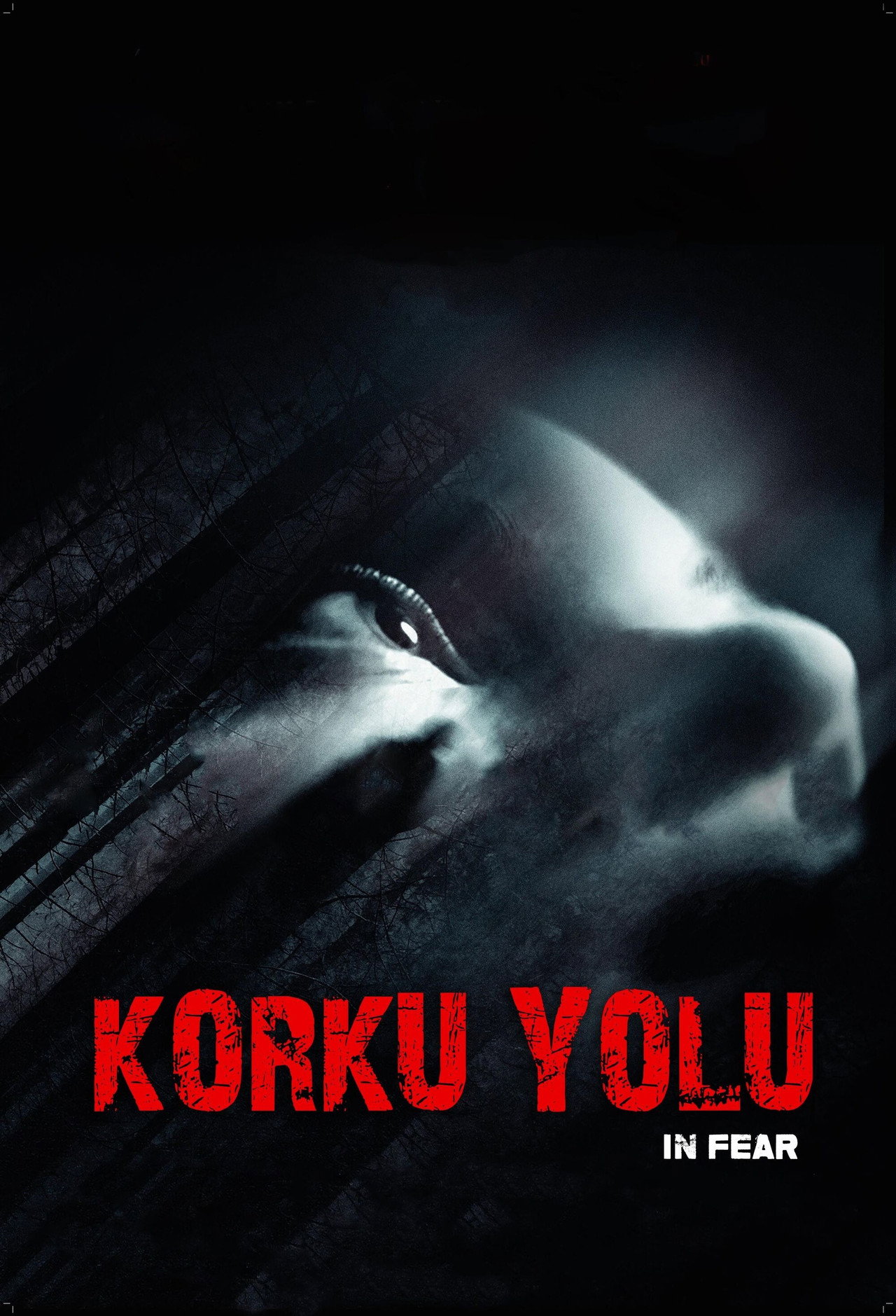 Korku Yolu Poster