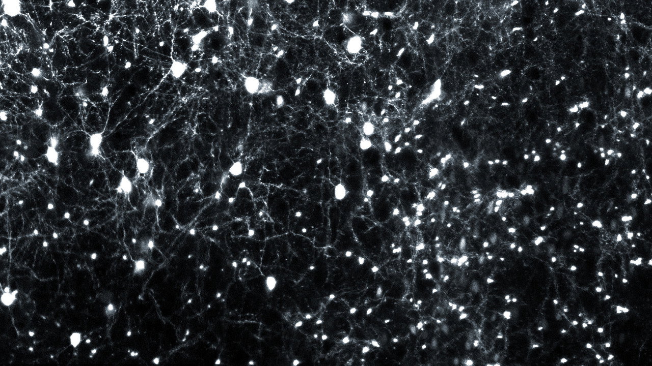 Movements arising from different relationships - Between regularity and irregularity II still 5
