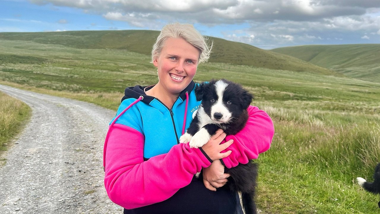 Our Lives - Season 6 Episode 12 : The World's Most Expensive Sheepdogs