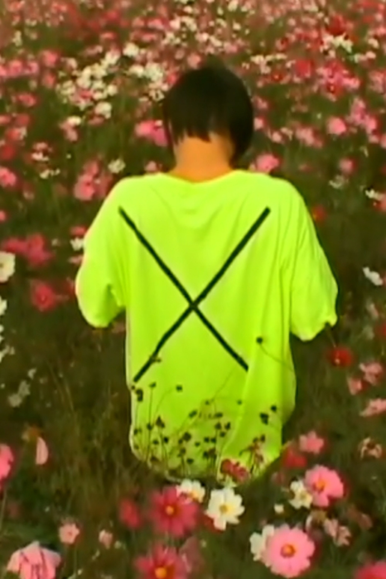 酸っぱい畑 filmaffisch