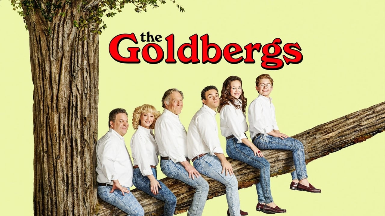 Die Goldbergs background