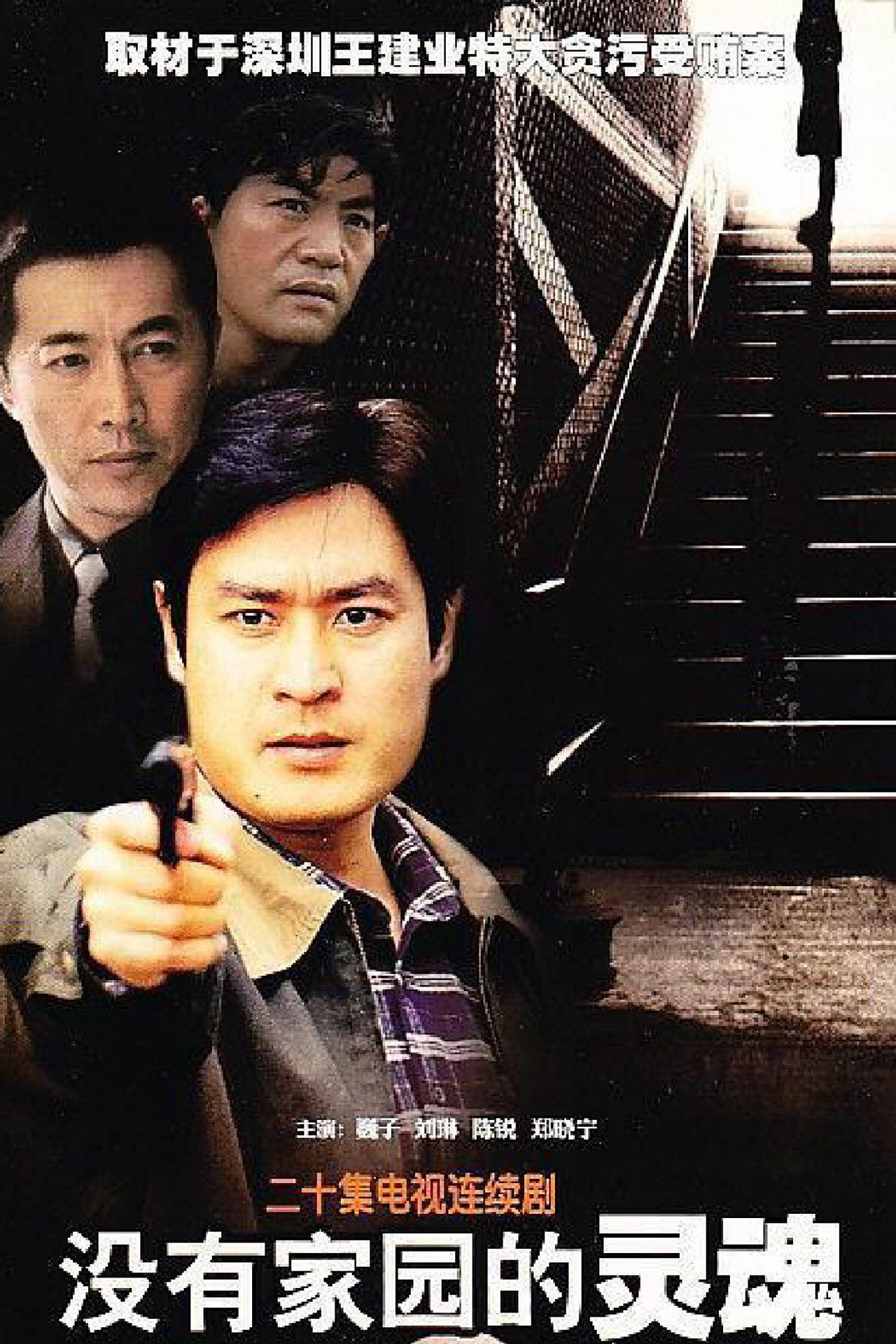 没有家园的灵魂 affisch
