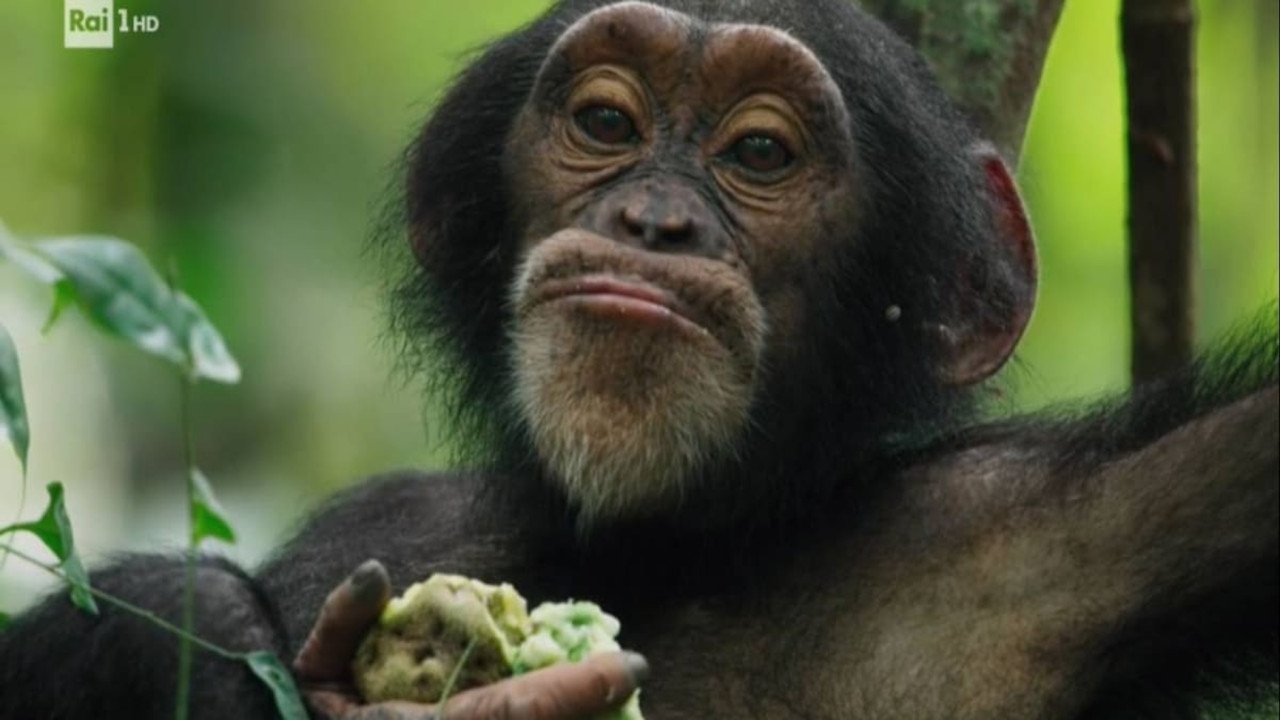 With Alberto Angela in Aosta