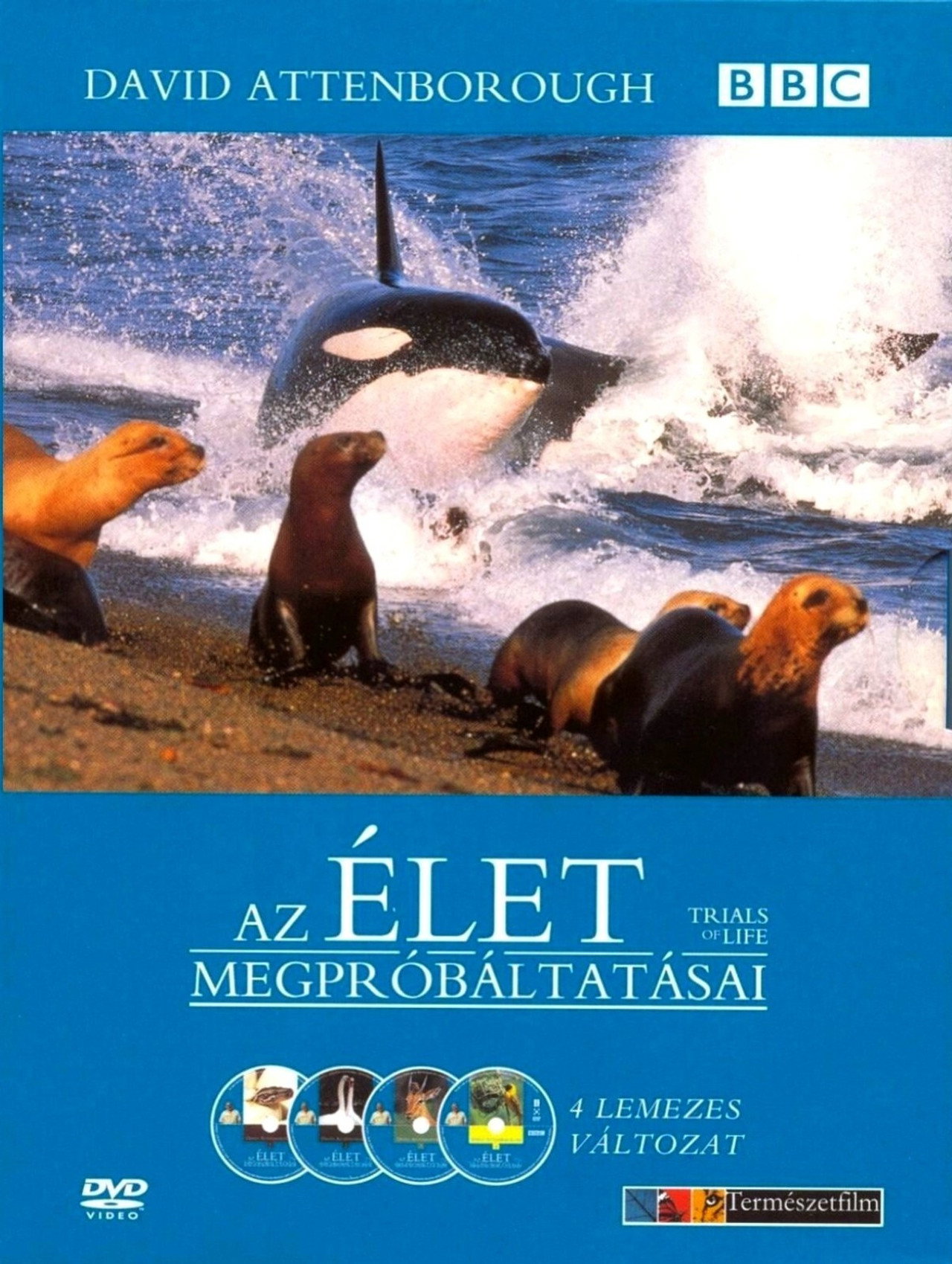 Az élet megpróbáltatásai – plakát 6