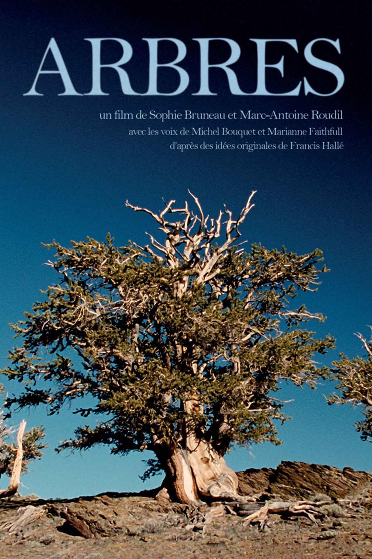 مشاهدة فيلم Trees مترجم بدون اعلانات - بوستر