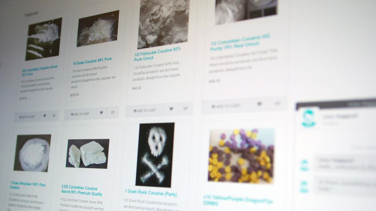 The Dark Web — Trafic d'animaux sauvages