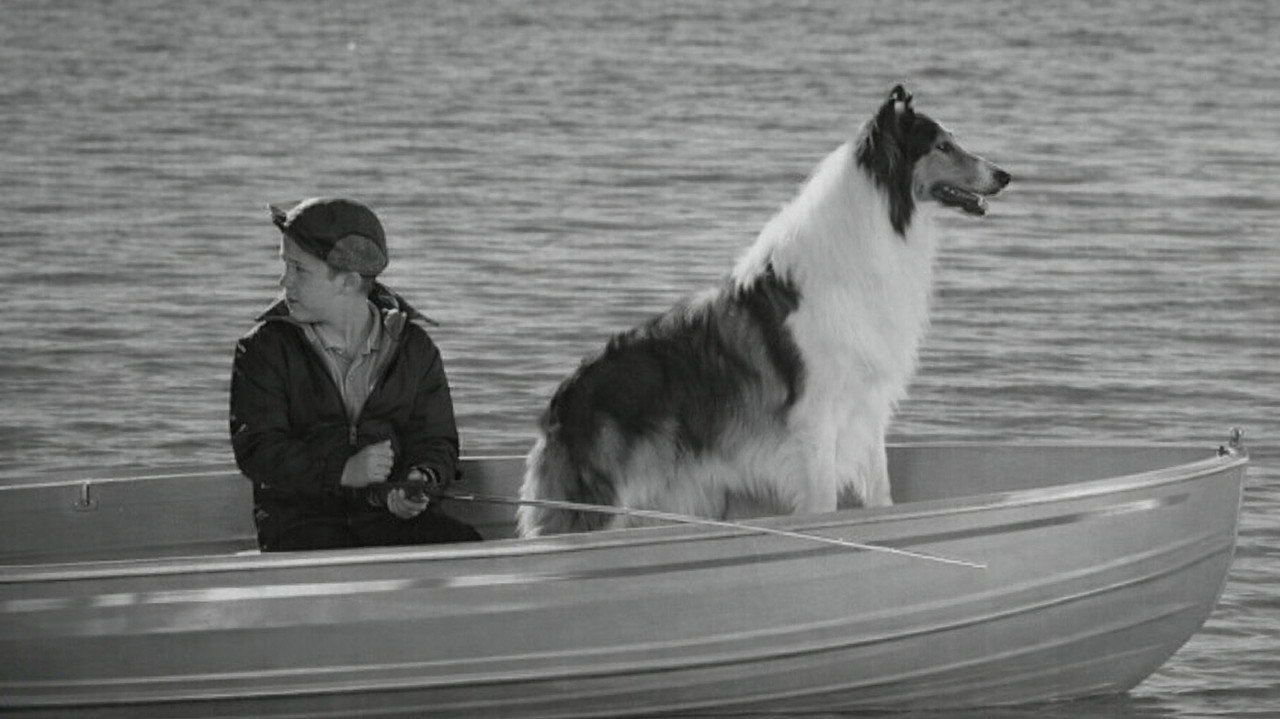 Lassie: Disappearance