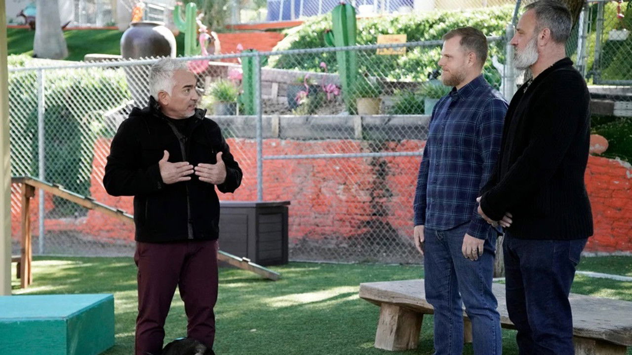 Cesar Millan: Tel Maître, Tel Chien — Épisode 7
