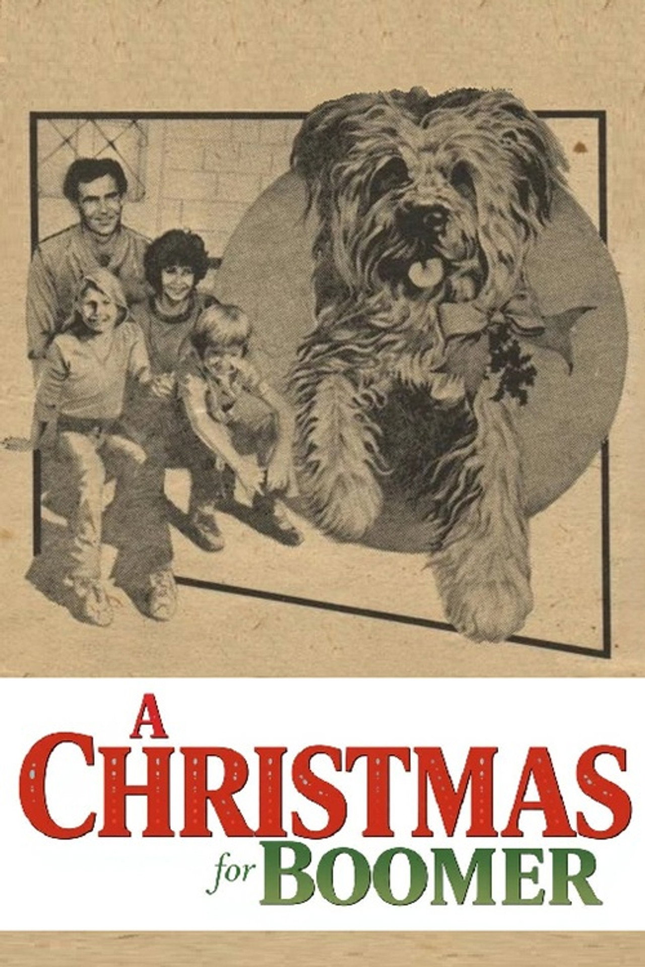 A Christmas for Boomer