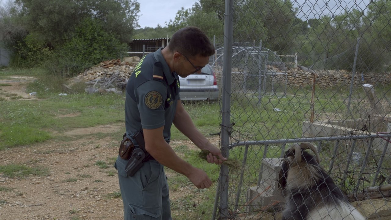 Seprona en acción - Season 5 Episode 8 : Episode 8