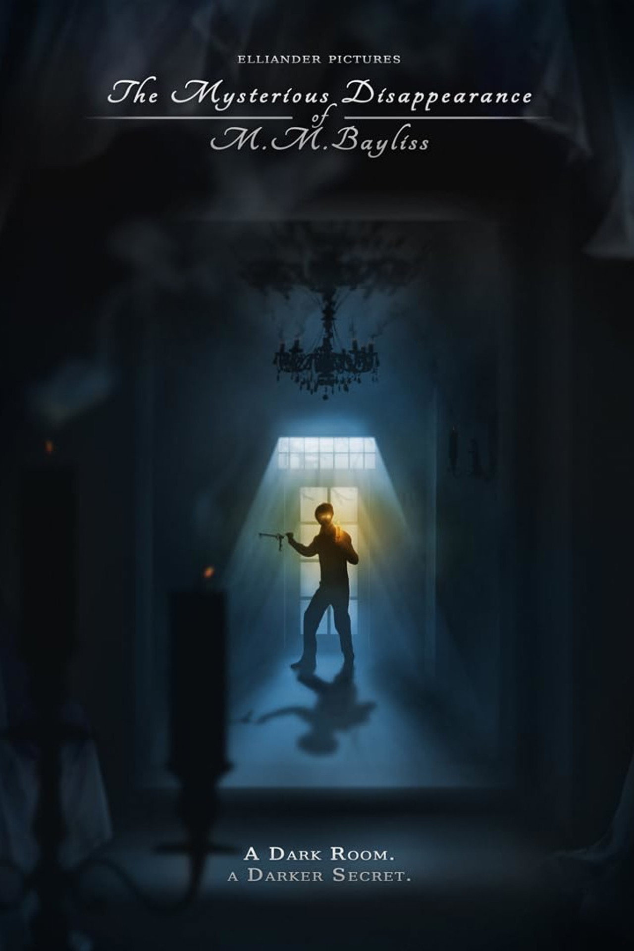 The Mysterious Disappearance of M.M. Bayliss filmaffisch